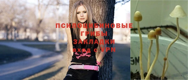 a pvp Магас
