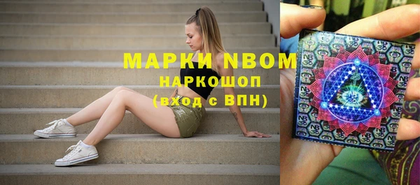 a pvp Магас
