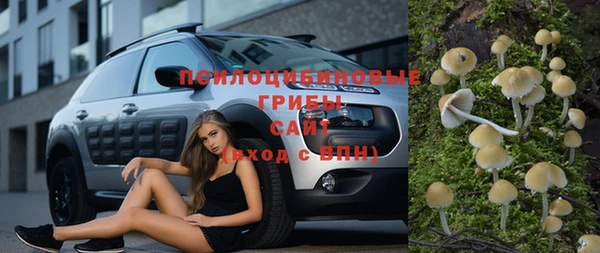 a pvp Магас