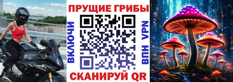 Галлюциногенные грибы прущие грибы  Нижняя Салда 